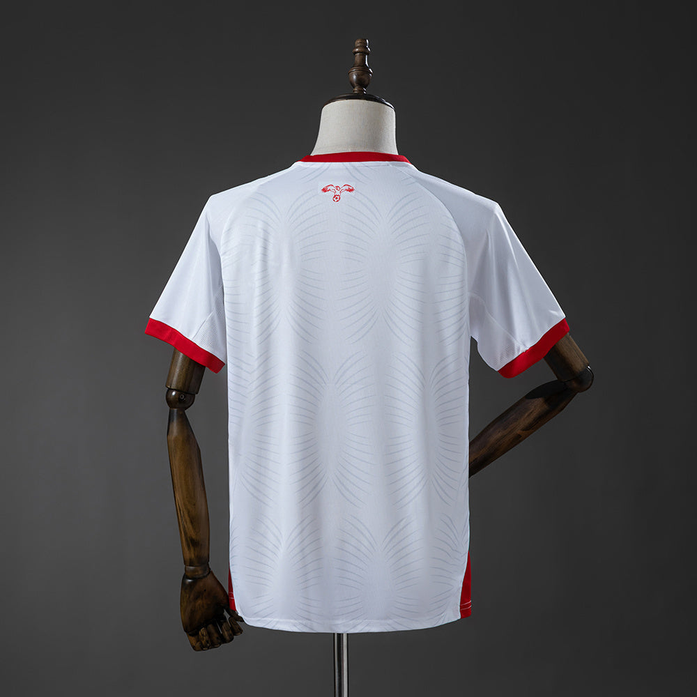 Jordan World Cup Home kit  (1:1)